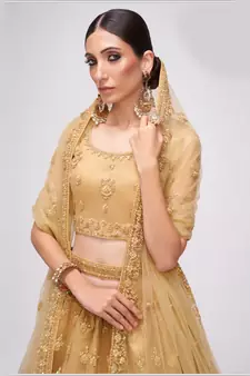 winsome Chickoo patch & sequins Embroidered with stone work net fabric Lehenga choli for wedding