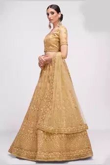 winsome Chickoo patch & sequins Embroidered with stone work net fabric Lehenga choli for wedding