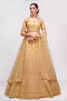 winsome Chickoo patch & sequins Embroidered with stone work net fabric Lehenga choli for wedding