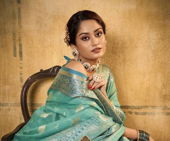 Light blue woven tissue saree with blouse 3