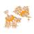 Yellow earrings