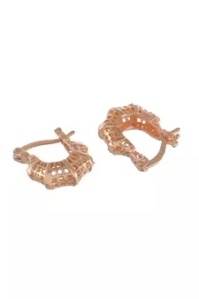 Gold earrings
