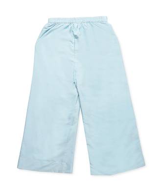 Blue cotton silk plain PALE BLUE PLAZZO PANT 2