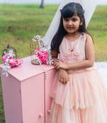 pink Tussar embroidered FLAMINGO CROP TOP