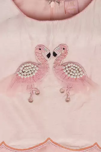 pink Tussar embroidered FLAMINGO CROP TOP