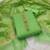 Parrot-green zari woven banarasi salwar