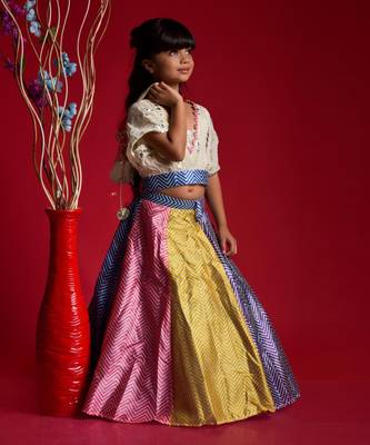 Multicolour Ghagra with V Neck style top 3