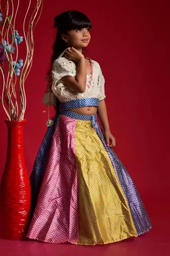 Multicolour Ghagra with V Neck style top