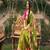 Arya Chanderi Batik Print Saree with Blouse