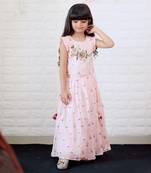 Hand Work Embroidered Top with Pleated Silk Skirt