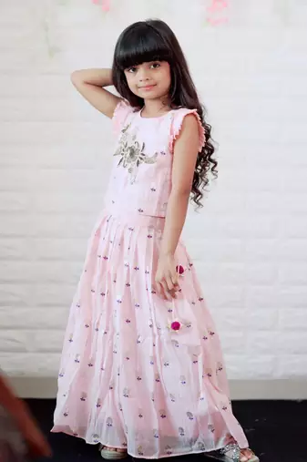 Hand Work Embroidered Top with Pleated Silk Skirt
