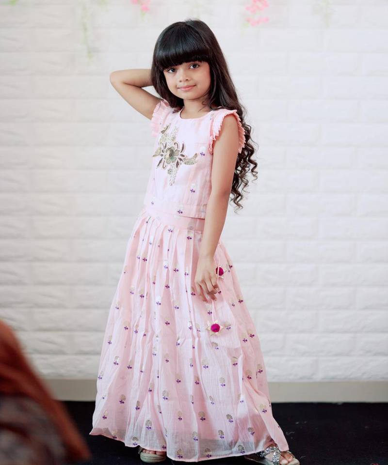 Hand Work Embroidered Top with Pleated Silk Skirt