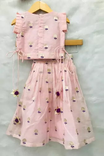 Hand Work Embroidered Top with Pleated Silk Skirt