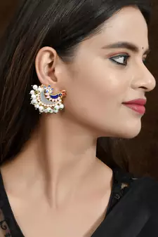 Multicolor earrings