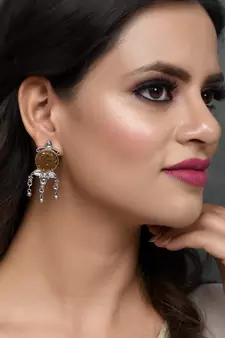 Brown earrings