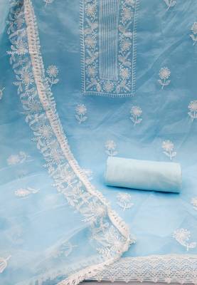 Blue embroidered organza salwar 2