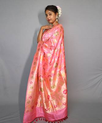 Meena Benarasi Silk Saree 4