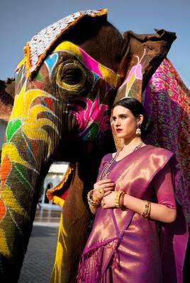 Purple Kumbhi silk bland Kanjivaram style festive wear zari border saree with Blouse 4