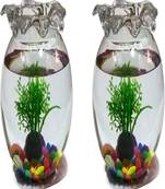 Clear & Transparent Glass Fish Pot For Zoom View Home Table Top Dia 6 Inch