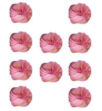 Zaridhar || Special Premium Mooga Pagdi/ Turban Wedding/function for Men & Women (Free Size) II Pack of 10 2