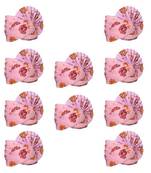Zaridhar || Special Floral Pagdi/ Turban Wedding/function for Men & Women (Free Size) II Pack of 10 || Light Pink