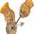 Sconce Design Decorative Wall Lamp ABC361
