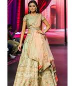 Soft Green Lehenga Set