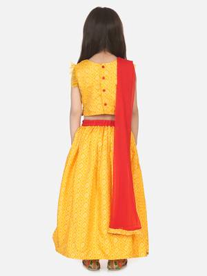 Bandhani Net pleated Sleeves Lehenga- Yellow 3
