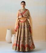 Dull Gold Lehenga Set