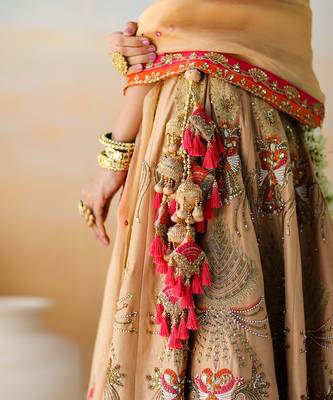 Dull Gold Lehenga Set 6