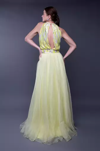 Yellow Silver Sequin Embroidered Bodice Organza Gown