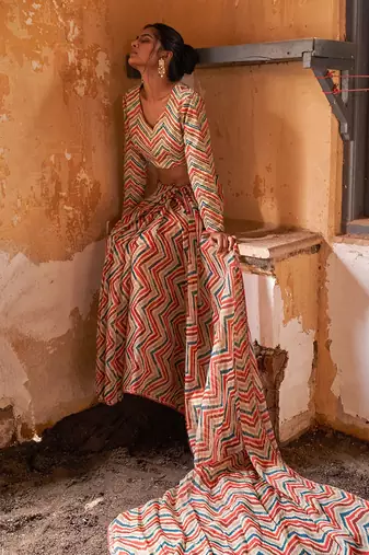 Full Sleeves Bustier With Saree