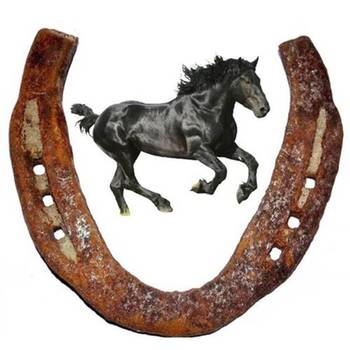 Black Horse Shoe (Kale Ghode Ki Naal) Iron Yantra 2