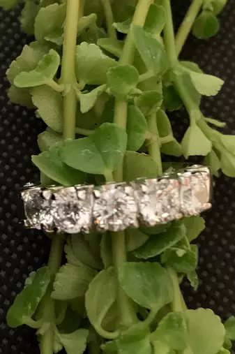 5 Diamond Band