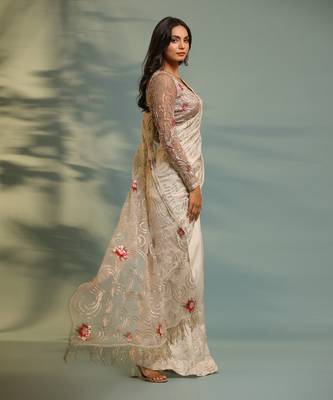 Haseena Ivor-Grey Swirl Jaal Saree Set 2