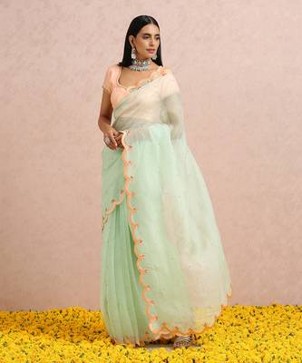 Mint Green Saree Peach Blouse 1