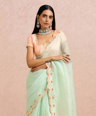 Mint Green Saree Peach Blouse 3