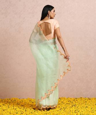 Mint Green Saree Peach Blouse 8