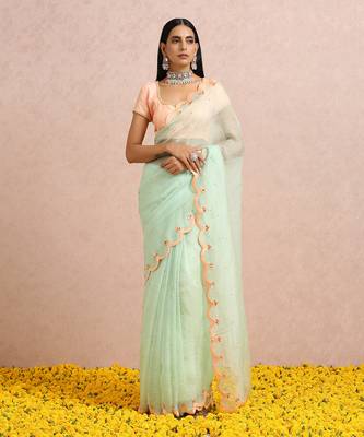 Mint Green Saree Peach Blouse 9