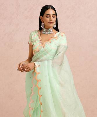 Mint Green Saree And blouse 2