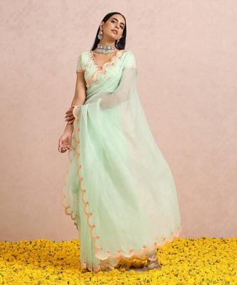Mint Green Saree And blouse 3