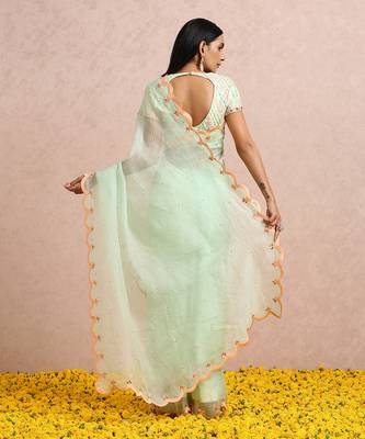 Mint Green Saree And blouse 8