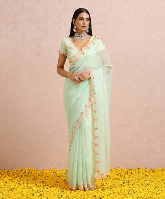 Mint Green Saree And blouse 9