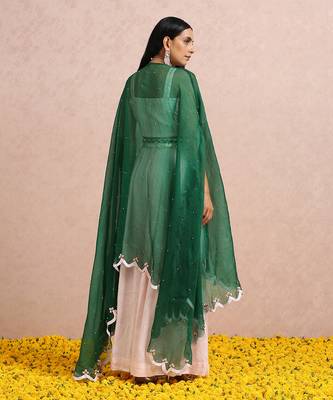 Baby Pink Palazzos With Emerald Cape 8