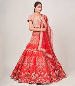 Red Dela Lehenga Set