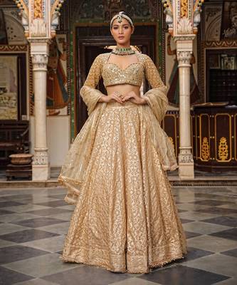 Beige Banarasi Chanderi Lehenga 1