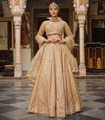 Beige Banarasi Chanderi Lehenga