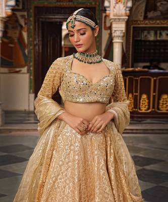 Beige Banarasi Chanderi Lehenga 2