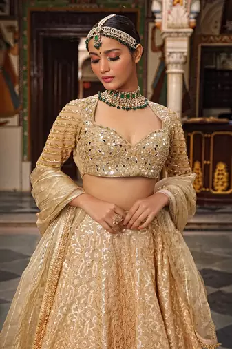 Beige Banarasi Chanderi Lehenga