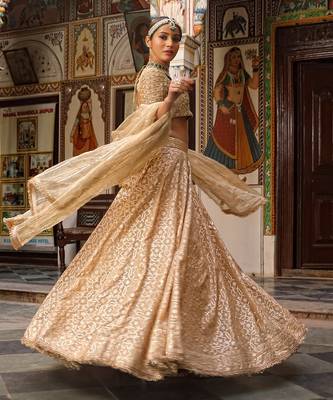 Beige Banarasi Chanderi Lehenga 3